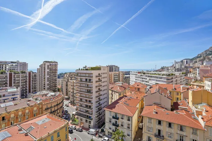 Monaco Real Estate